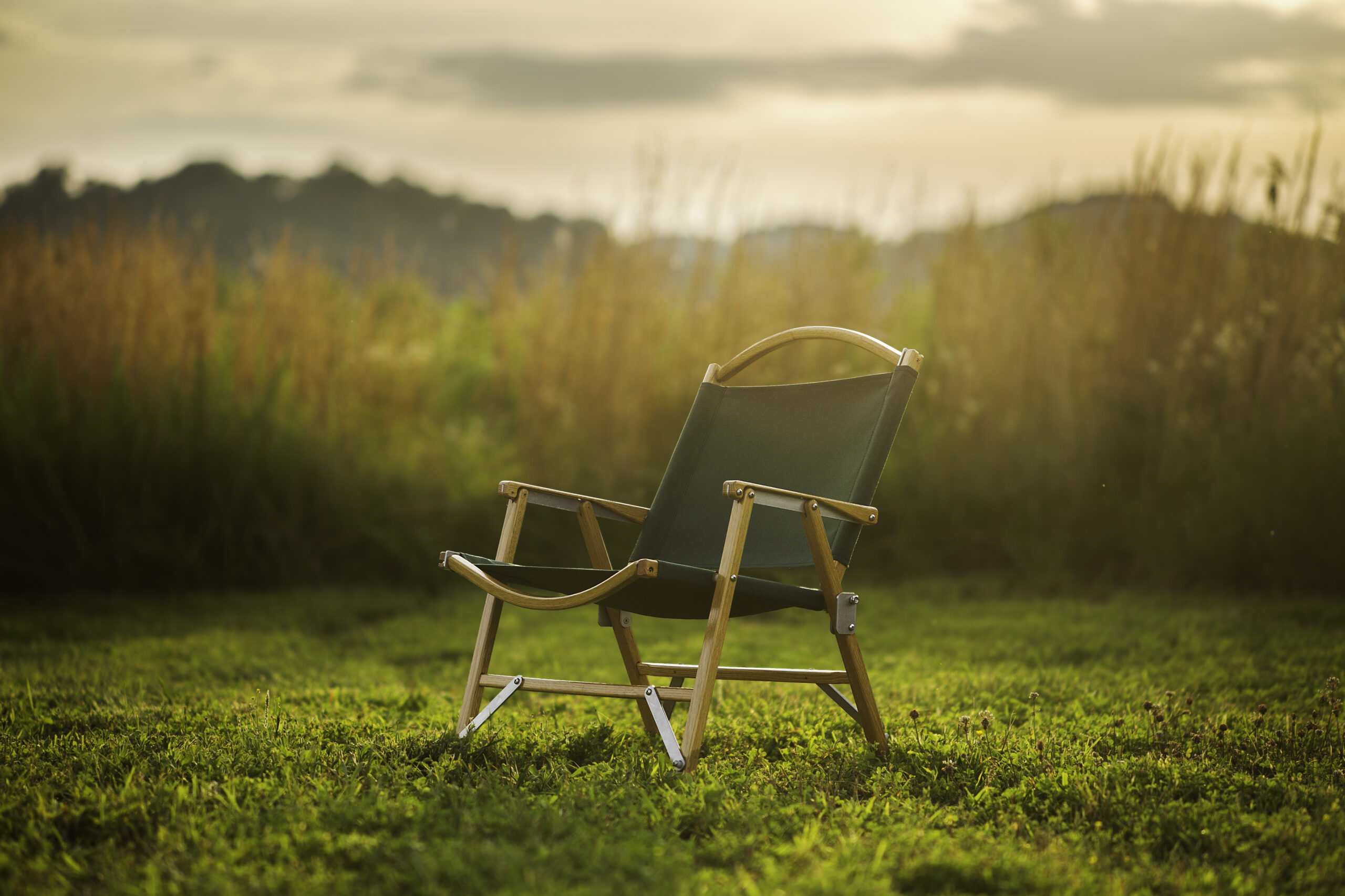 KERMIT CHAIR STANDARD FOREST GREEN